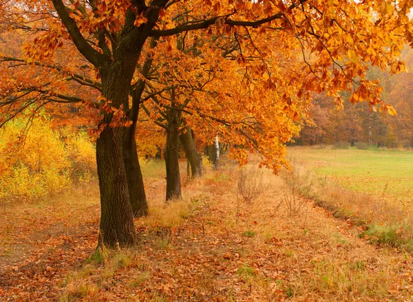 fall-home-maintenance-checklist