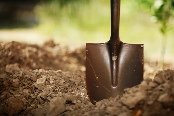 best-garden-shovel
