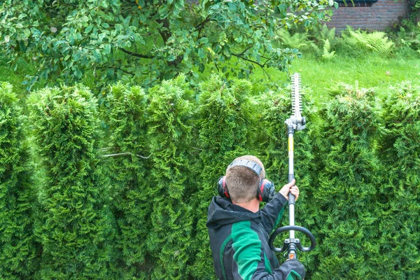 best-gas-hedge-trimmer