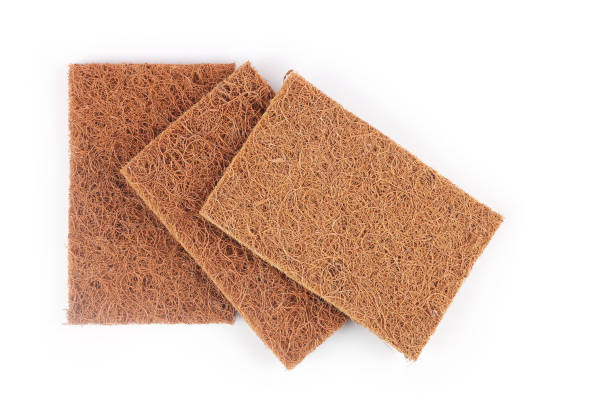 best-abrasive-pad