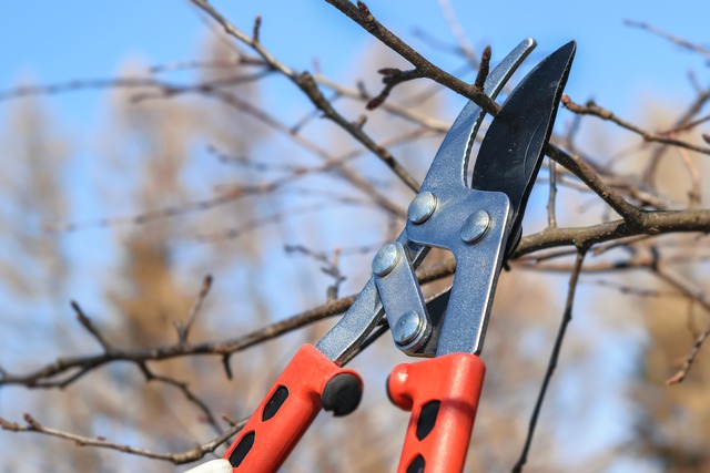 best-bypass-lopper